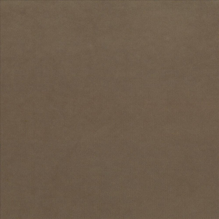 Maison Royale Driftwood by Kasmir Fabric 1448 75% Polyester
25% Cotton
 CHINA 201,000 Wyzenbeek Double Rubs Horizontal: N/A and Vertical: N/A 54 - Fabric Carolina -