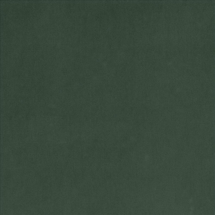 Maison Royale Emerald by Kasmir Fabric 1448 75% Polyester 25% Cotton CHINA 201,000 Wyzenbeek Double Rubs Horizontal: 0 Inches and Vertical: 0 Inches 54 - Fabric Carolina -