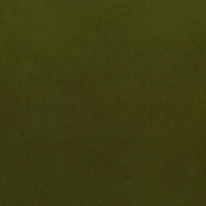 Maison Royale Forest by Kasmir Fabric 1448 75% Polyester
25% Cotton
 CHINA </p><p>Repeat: Horizontal: N/A and Vertical: N/A 54 - Fabric Carolina -