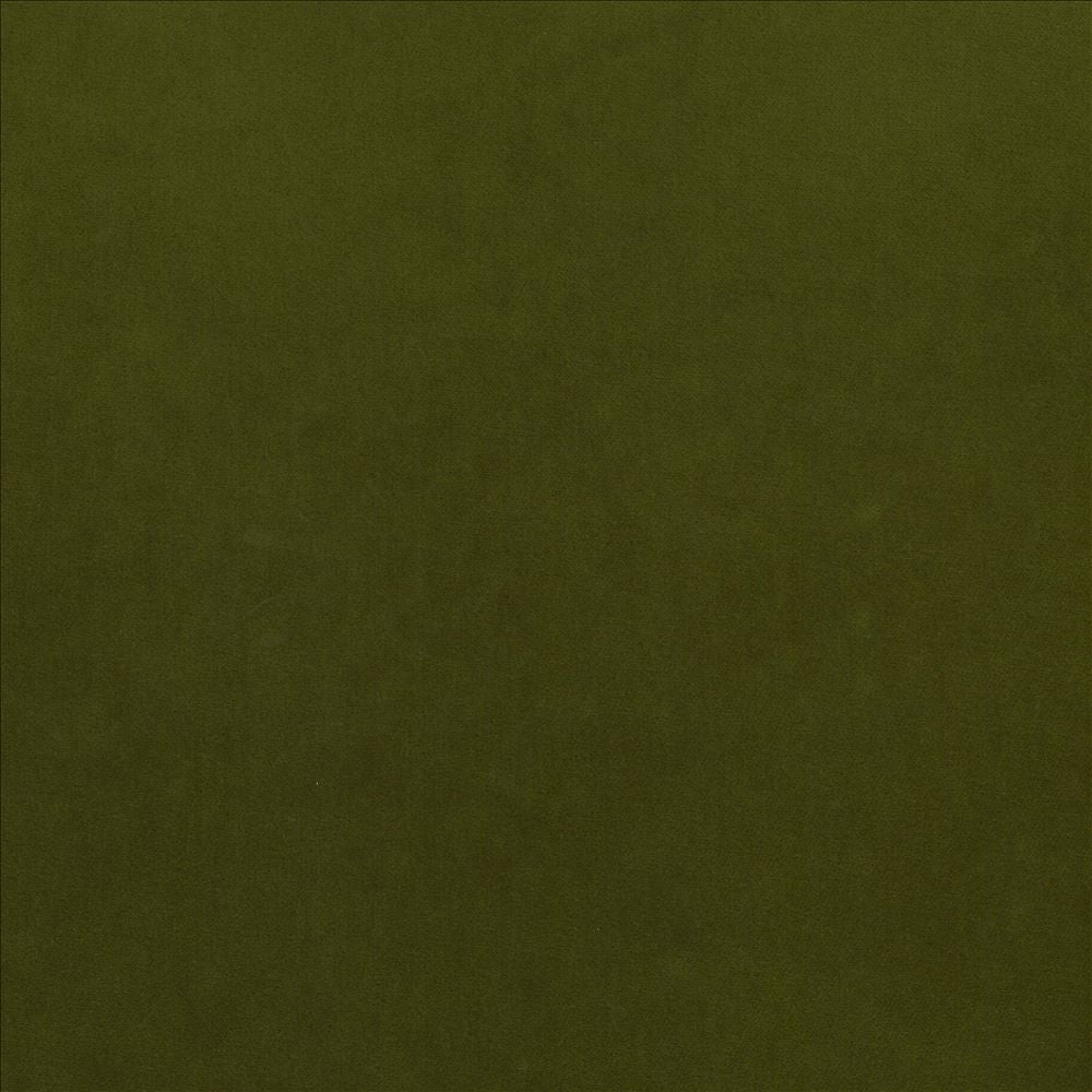 Maison Royale Forest by Kasmir Fabric 1448 75% Polyester 25% Cotton CHINA 201,000 Wyzenbeek Double Rubs Horizontal: 0 Inches and Vertical: 0 Inches 54 - Fabric Carolina -