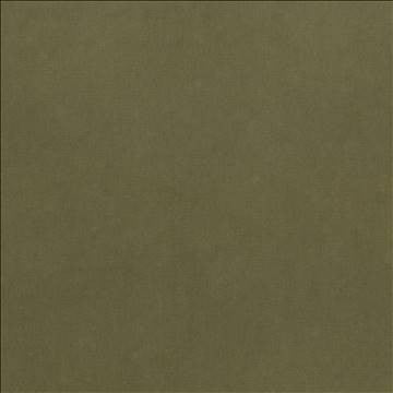 Maison Royale Green Tea by Kasmir Fabric 1448 75% Polyester 25% Cotton CHINA 201,000 Wyzenbeek Double Rubs H: N/A, V: N/A 54 - Fabric Carolina - Kasmir