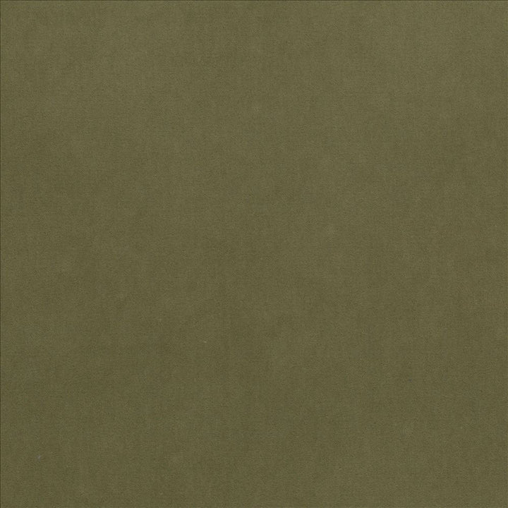 Maison Royale Green Tea by Kasmir Fabric 1448 75% Polyester
25% Cotton
 CHINA 201,000 Wyzenbeek Double Rubs </p><p>Repeat: Horizontal: N/A and Vertical: N/A 54 - Fabric Carolina -