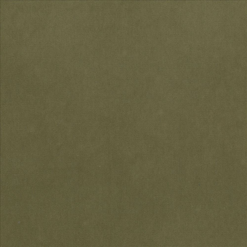 Maison Royale Green Tea by Kasmir Fabric 1448 75% Polyester
25% Cotton
 CHINA </p><p>Repeat: Horizontal: N/A and Vertical: N/A 54 - Fabric Carolina -