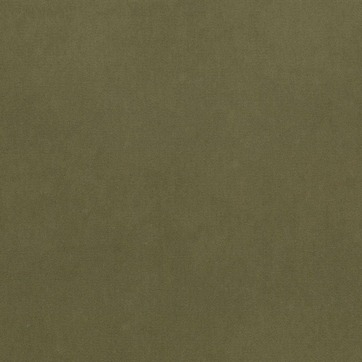 Maison Royale Green Tea by Kasmir Fabric 1448 CHINA 201,000 Wyzenbeek Double Rubs H: N/A, V:N/A 54 - Fabric Carolina - Kasmir