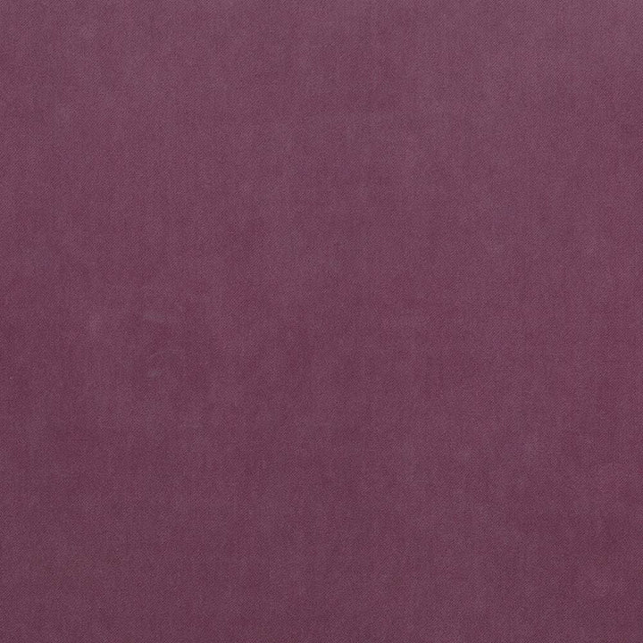 Maison Royale Lilac by Kasmir Fabric 1448 75% Polyester
25% Cotton
 CHINA </p><p>Repeat: Horizontal: N/A and Vertical: N/A 54 - Fabric Carolina -