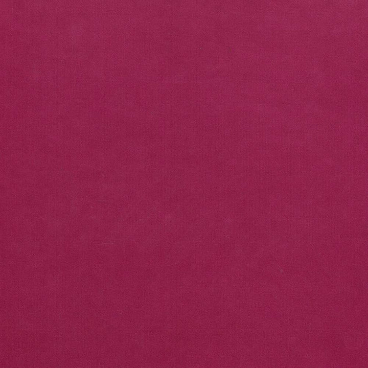 Maison Royale Magenta by Kasmir Fabric 1448 CHINA 201,000 Wyzenbeek Double Rubs H: N/A, V:N/A 54 - Fabric Carolina - Kasmir