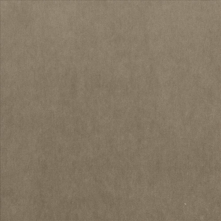Maison Royale Mushroom by Kasmir Fabric 1448 75% Polyester
25% Cotton
 CHINA </p><p>Repeat: Horizontal: N/A and Vertical: N/A 54 - Fabric Carolina -