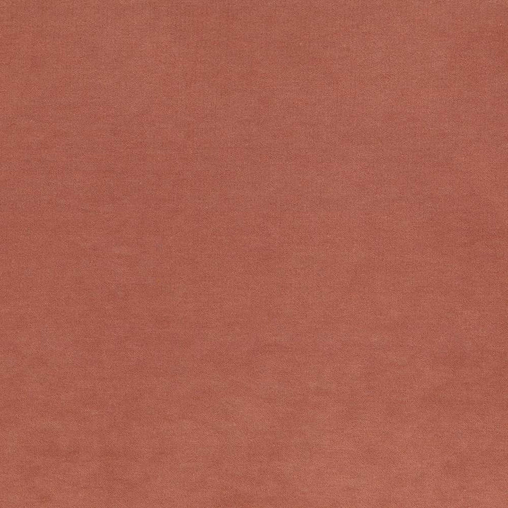 Maison Royale Nectar by Kasmir Fabric 1448 CHINA 201,000 Wyzenbeek Double Rubs H: N/A, V:N/A 54 - Fabric Carolina - Kasmir