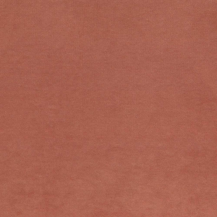 Maison Royale Nectar by Kasmir Fabric 1448 75% Polyester
25% Cotton
 CHINA 201,000 Wyzenbeek Double Rubs </p><p>Repeat: Horizontal: N/A and Vertical: N/A 54 - Fabric Carolina -