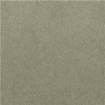 Maison Royale Platinum by Kasmir Fabric 1448 75% Polyester 25% Cotton CHINA 201,000 Wyzenbeek Double Rubs H: N/A, V: N/A 54 - Fabric Carolina - Kasmir