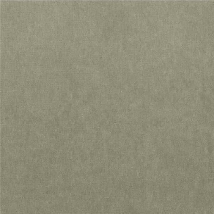 Maison Royale Platinum by Kasmir Fabric 1448 75% Polyester 25% Cotton CHINA 201,000 Wyzenbeek Double Rubs Horizontal: 0 Inches and Vertical: 0 Inches 54 - Fabric Carolina -