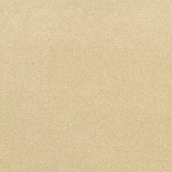 Maison Royale Sand by Kasmir Fabric 1448 CHINA 201,000 Wyzenbeek Double Rubs H: N/A, V:N/A 54 - Fabric Carolina - Kasmir