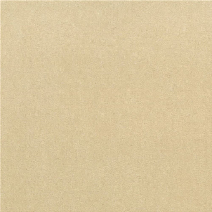 Maison Royale Sand by Kasmir Fabric 1448 75% Polyester
25% Cotton
 CHINA </p><p>Repeat: Horizontal: N/A and Vertical: N/A 54 - Fabric Carolina -