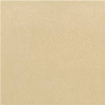 Maison Royale Sand by Kasmir Fabric 1448 75% Polyester 25% Cotton CHINA 201,000 Wyzenbeek Double Rubs H: N/A, V: N/A 54 - Fabric Carolina - Kasmir