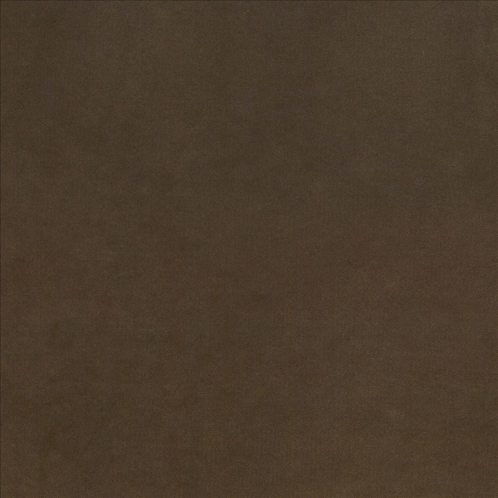 Maison Royale Truffle by Kasmir Fabric 1448 75% Polyester
25% Cotton
 CHINA </p><p>Repeat: Horizontal: N/A and Vertical: N/A 54 - Fabric Carolina -