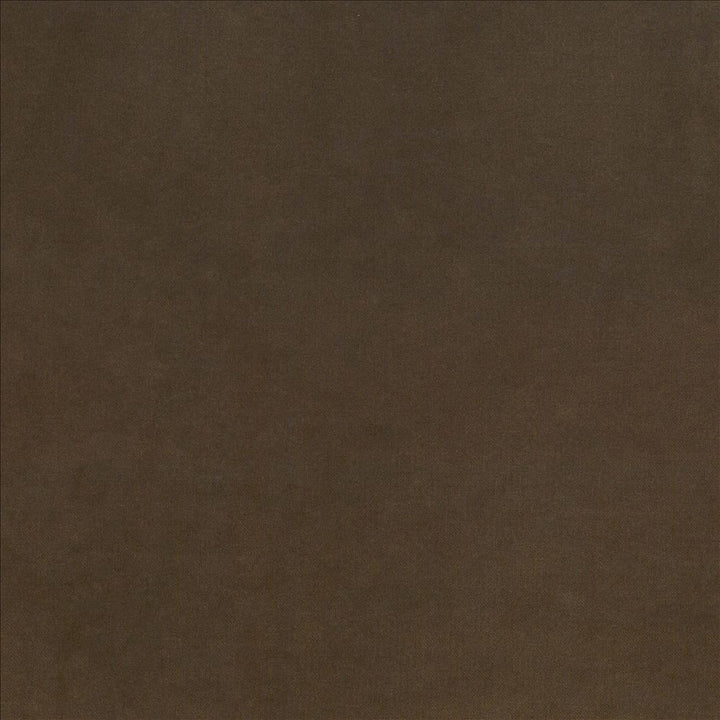 Maison Royale Truffle by Kasmir Fabric 1448 75% Polyester
25% Cotton
 CHINA </p><p>Repeat: Horizontal: N/A and Vertical: N/A 54 - Fabric Carolina -