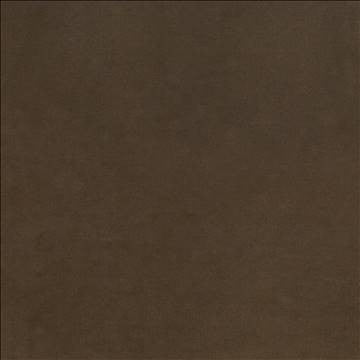 Maison Royale Truffle by Kasmir Fabric 1448 75% Polyester 25% Cotton CHINA 201,000 Wyzenbeek Double Rubs H: N/A, V: N/A 54 - Fabric Carolina - Kasmir