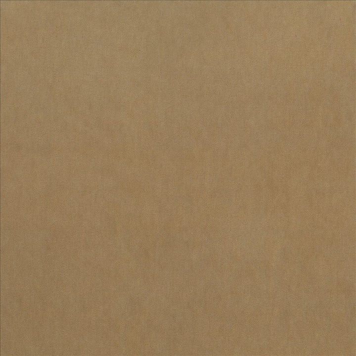 Maison Royale Tussah by Kasmir Fabric 1448 75% Polyester
25% Cotton
 CHINA 201,000 Wyzenbeek Double Rubs </p><p>Repeat: Horizontal: N/A and Vertical: N/A 54 - Fabric Carolina -
