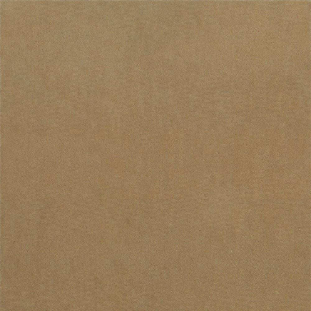 Maison Royale Tussah by Kasmir Fabric 1448 75% Polyester
25% Cotton
 CHINA 201,000 Wyzenbeek Double Rubs Horizontal: N/A and Vertical: N/A 54 - Fabric Carolina -