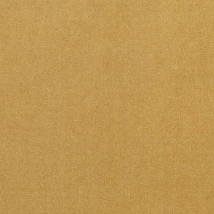 Maison Royale Antique Gold by Kasmir Fabric 1448 75% Polyester
25% Cotton
 CHINA </p><p>Repeat: Horizontal: N/A and Vertical: N/A 54 - Fabric Carolina -