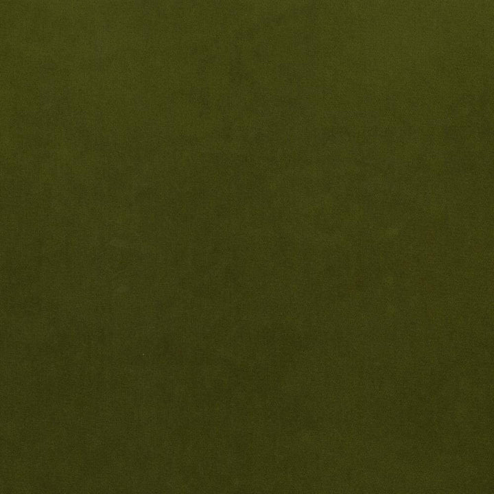 Maison Royale Forest by Kasmir Fabric 1448 75% Polyester
25% Cotton
 CHINA </p><p>Repeat: Horizontal: N/A and Vertical: N/A 54 - Fabric Carolina -