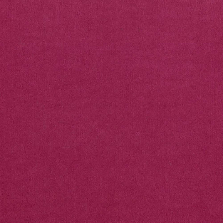 Maison Royale Magenta by Kasmir Fabric 1448 75% Polyester
25% Cotton
 CHINA </p><p>Repeat: Horizontal: N/A and Vertical: N/A 54 - Fabric Carolina -