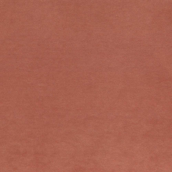 Maison Royale Nectar by Kasmir Fabric 1448 75% Polyester
25% Cotton
 CHINA </p><p>Repeat: Horizontal: N/A and Vertical: N/A 54 - Fabric Carolina -