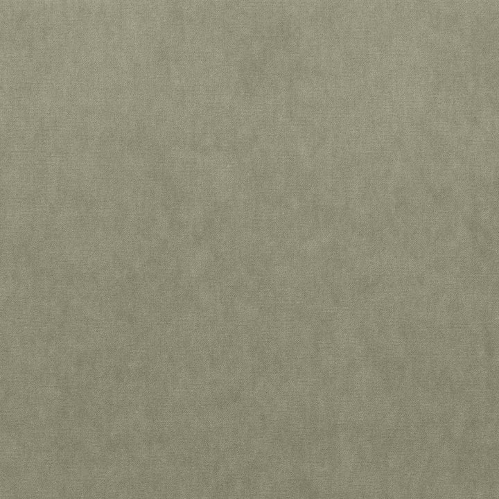 Maison Royale Platinum by Kasmir Fabric 1448 75% Polyester
25% Cotton
 CHINA </p><p>Repeat: Horizontal: N/A and Vertical: N/A 54 - Fabric Carolina -