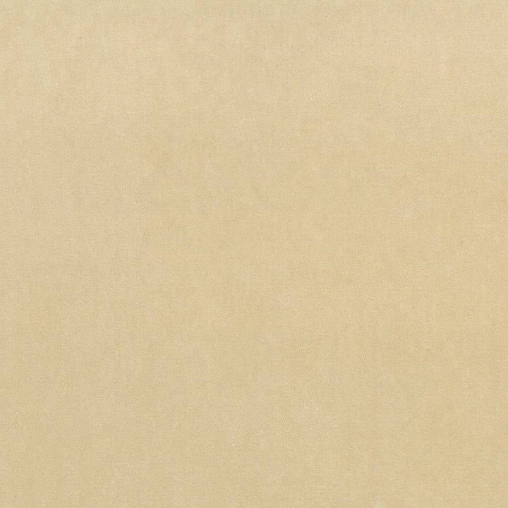 Maison Royale Sand by Kasmir Fabric 1448 75% Polyester
25% Cotton
 CHINA </p><p>Repeat: Horizontal: N/A and Vertical: N/A 54 - Fabric Carolina -