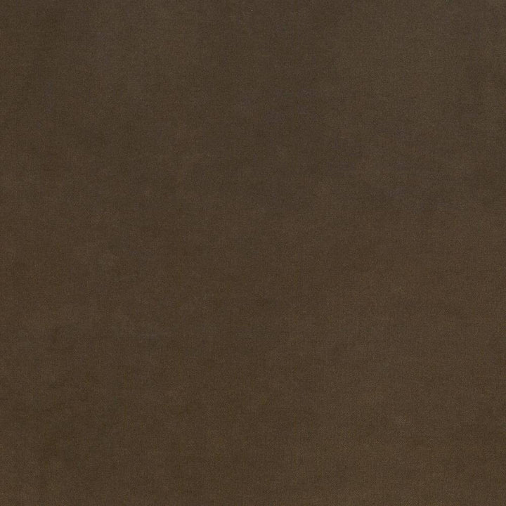 Maison Royale Truffle by Kasmir Fabric 1448 75% Polyester
25% Cotton
 CHINA </p><p>Repeat: Horizontal: N/A and Vertical: N/A 54 - Fabric Carolina -