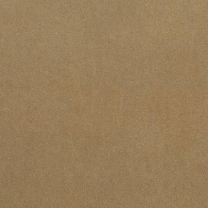 Maison Royale Tussah by Kasmir Fabric 1448 75% Polyester
25% Cotton
 CHINA </p><p>Repeat: Horizontal: N/A and Vertical: N/A 54 - Fabric Carolina -