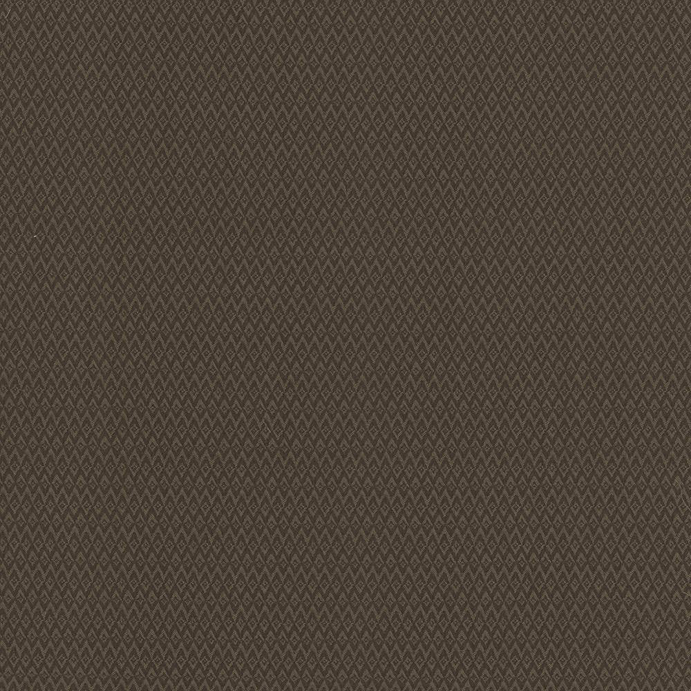 Makai Chocolate by Kasmir Fabric 5101 CHINA 15,000 Wyzenbeek Double Rubs H: 4/8 inches, V:1 inches 54 - 55 - Fabric Carolina - Kasmir