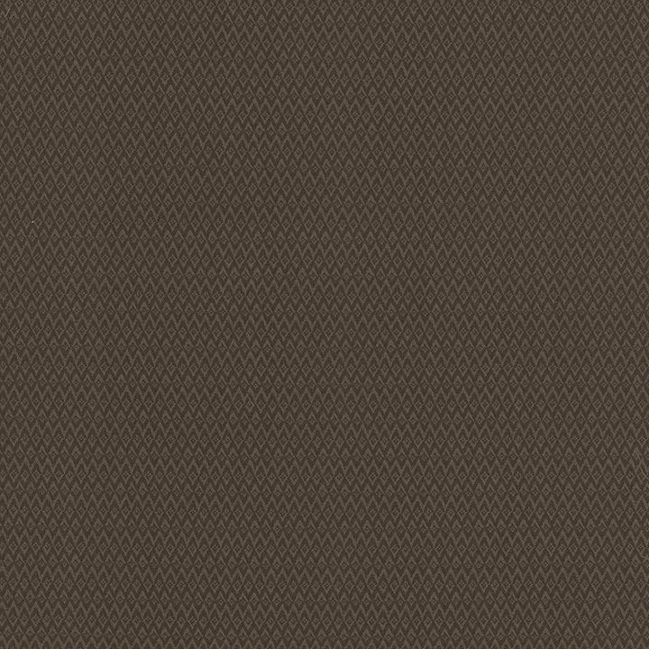 Makai Chocolate by Kasmir Fabric 5101 CHINA 15,000 Wyzenbeek Double Rubs H: 4/8 inches, V:1 inches 54 - 55 - Fabric Carolina - Kasmir