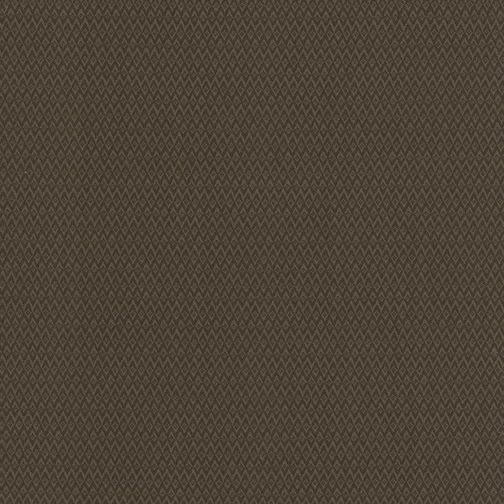 Makai Chocolate by Kasmir Fabric 5101 100% Polyester
 CHINA </p><p>Repeat: Horizontal: 4/8 inches and Vertical: 1 inches 54 - 55 - Fabric Carolina -