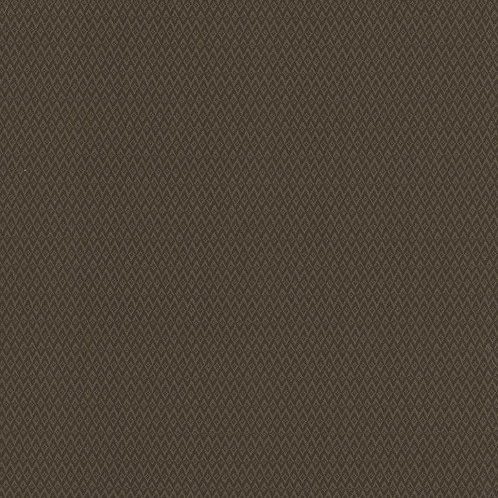 Makai Chocolate by Kasmir Fabric 5101 100% Polyester
 CHINA </p><p>Repeat: Horizontal: 4/8 inches and Vertical: 1 inches 54 - 55 - Fabric Carolina -