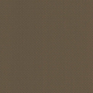 Makai Cocoa by Kasmir Fabric