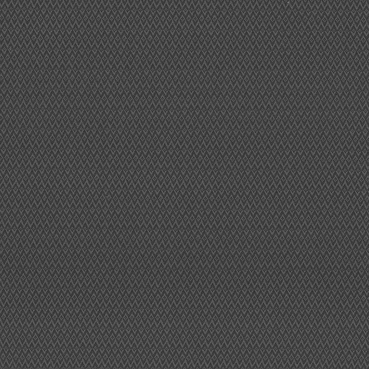 Makai Graphite by Kasmir Fabric 5101 100% Polyester
 CHINA </p><p>Repeat: Horizontal: 4/8 inches and Vertical: 1 inches 54 - 55 - Fabric Carolina -