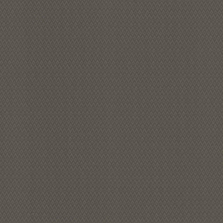 Makai Smoke by Kasmir Fabric 5101 100% Polyester
 CHINA </p><p>Repeat: Horizontal: 4/8 inches and Vertical: 1 inches 54 - 55 - Fabric Carolina -