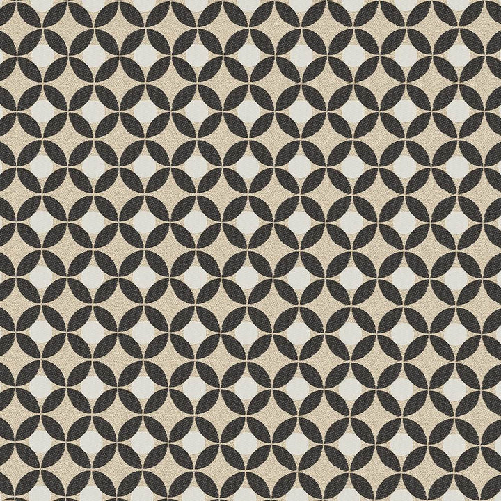 Marini Graphite by Kasmir Fabric 1428 62% Polyester
38% Cotton
 INDIA </p><p>Repeat: Horizontal: 1 2/8 inches and Vertical: 1 2/8 inches 57 - Fabric Carolina -