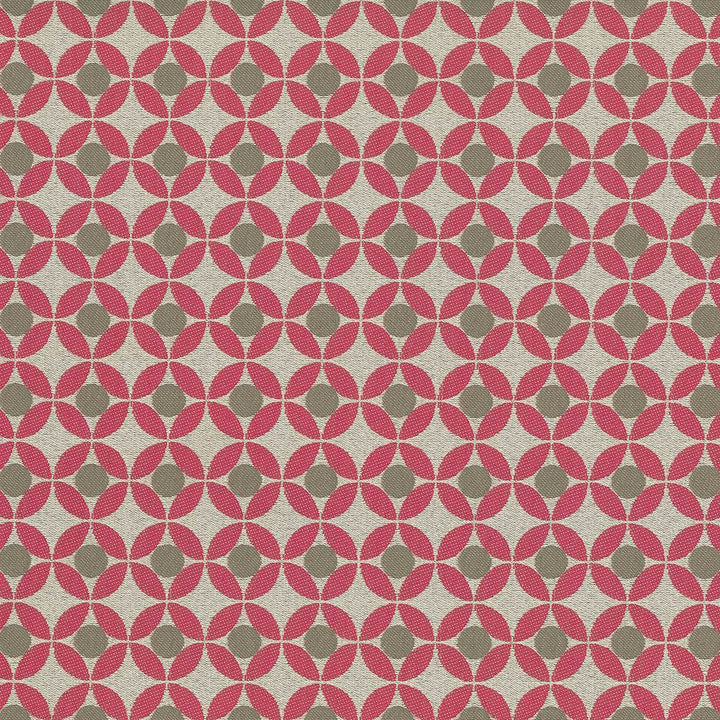 Marini Raspberry by Kasmir Fabric 1428 62% Polyester
38% Cotton
 INDIA </p><p>Repeat: Horizontal: 1 2/8 inches and Vertical: 1 2/8 inches 57 - Fabric Carolina -