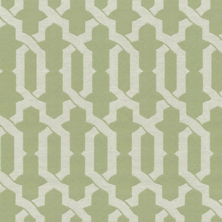 Marmara Trellis Celery by Kasmir Fabric 1368 59% Cotton
41% Polyester
 CHINA 15,000 Wyzenbeek Double Rubs </p><p>Repeat: Horizontal: 4 6/8 inches and Vertical: 8 4/8 inches 56 - Fabric Carolina -