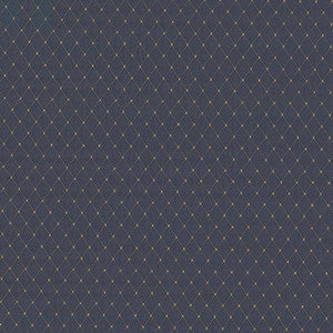 Martinez Chambray by Kasmir Fabric
