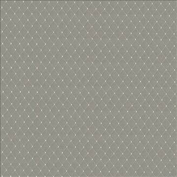 Martinez Feather by Kasmir Fabric 5085 100% Polyester CHINA 30,000 Wyzenbeek Double Rubs H: 6/8 inches, V: 1 2/8 inches 54 - 56 - Fabric Carolina - Kasmir
