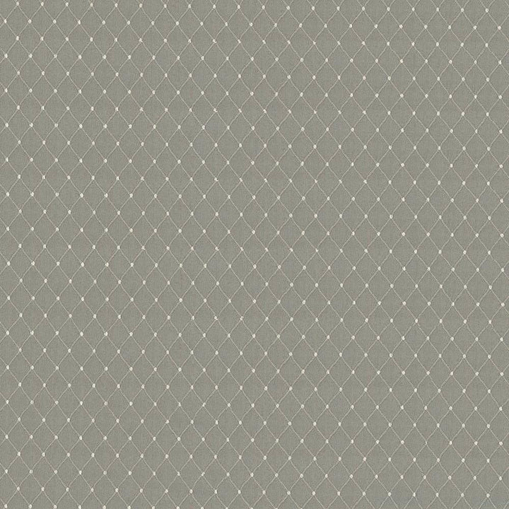 Martinez Feather by Kasmir Fabric 5085 CHINA 30,000 Wyzenbeek Double Rubs H: 6/8 inches, V:1 2/8 inches 54 - 56 - Fabric Carolina - Kasmir