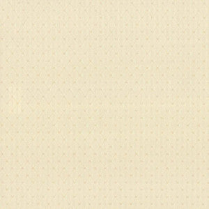 Martinez Ivory by Kasmir Fabric