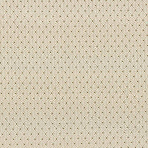 Martinez Linen by Kasmir Fabric