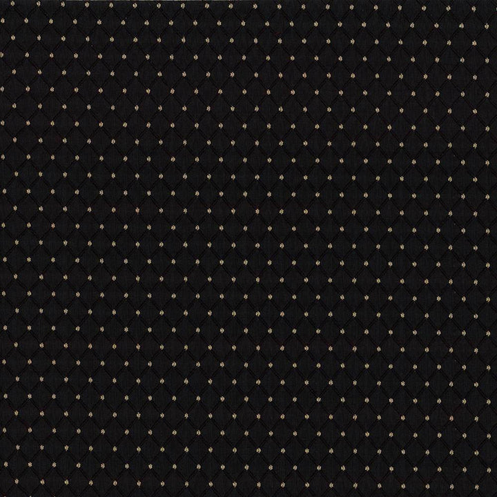 Martinez Onyx by Kasmir Fabric 5084 CHINA 30,000 Wyzenbeek Double Rubs H: 6/8 inches, V:1 2/8 inches 54 - 56 - Fabric Carolina - Kasmir