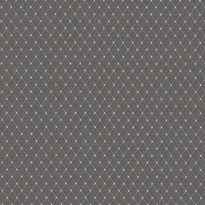 Martinez Slate by Kasmir Fabric