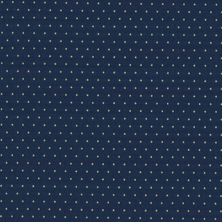 Martinez Twilight by Kasmir Fabric 5088 CHINA 30,000 Wyzenbeek Double Rubs H: 6/8 inches, V:1 2/8 inches 54 - 56 - Fabric Carolina - Kasmir