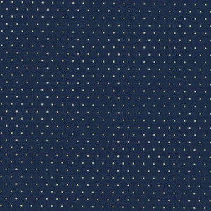 Martinez Twilight by Kasmir Fabric